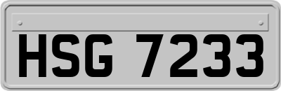 HSG7233