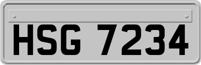 HSG7234
