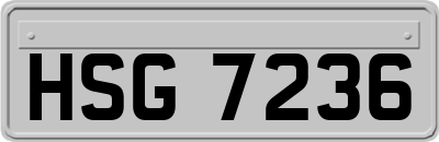 HSG7236