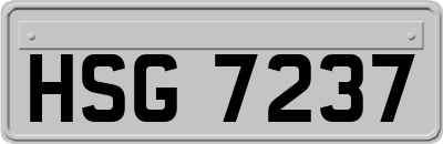HSG7237