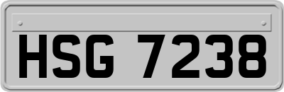 HSG7238
