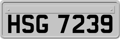 HSG7239