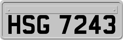 HSG7243