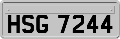 HSG7244
