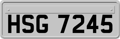 HSG7245