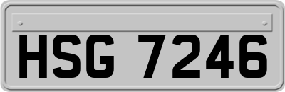 HSG7246