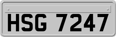 HSG7247