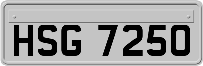 HSG7250