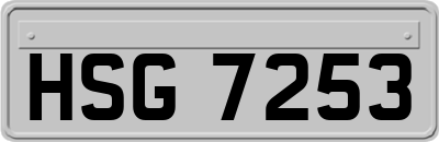HSG7253