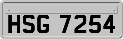 HSG7254