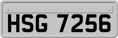 HSG7256