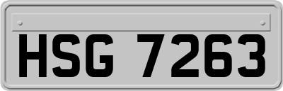 HSG7263