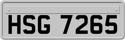 HSG7265