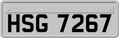 HSG7267