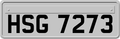 HSG7273