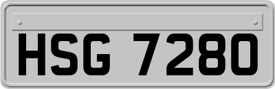 HSG7280