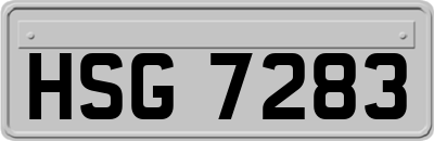 HSG7283