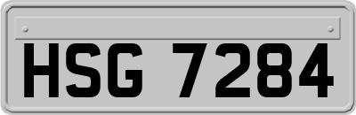 HSG7284