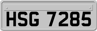 HSG7285