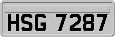 HSG7287