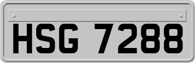 HSG7288