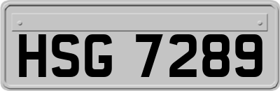 HSG7289
