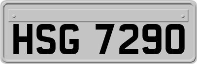 HSG7290