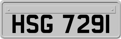 HSG7291