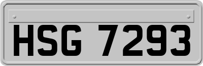 HSG7293