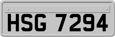 HSG7294