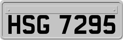 HSG7295
