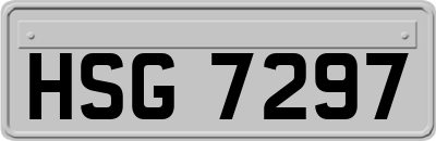 HSG7297