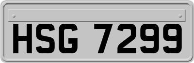 HSG7299
