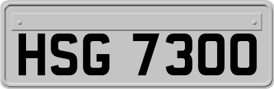 HSG7300