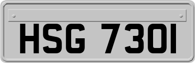 HSG7301