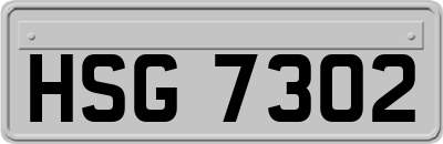 HSG7302