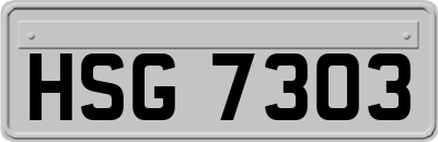 HSG7303