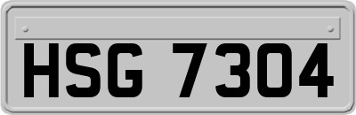 HSG7304