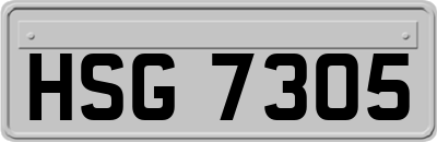HSG7305