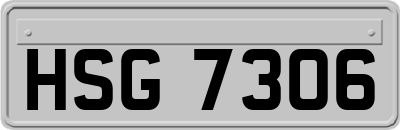 HSG7306