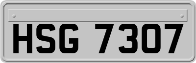HSG7307