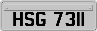 HSG7311