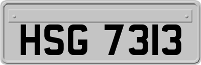 HSG7313