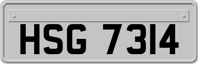 HSG7314