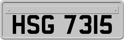 HSG7315