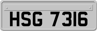 HSG7316