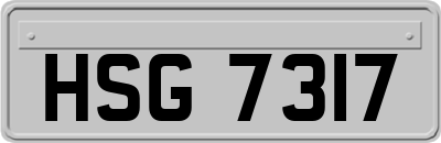 HSG7317