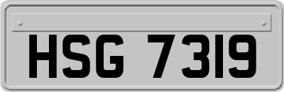 HSG7319