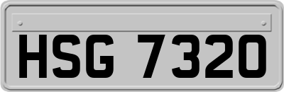 HSG7320
