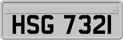 HSG7321